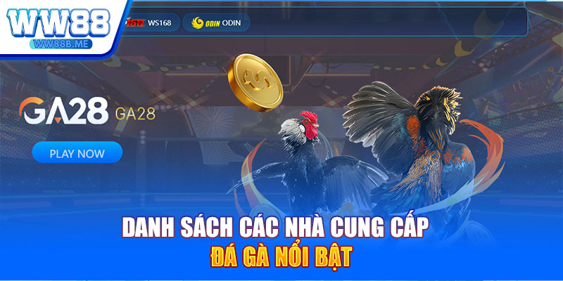 Danh sách các nhà cung cấp đá gà nổi bật