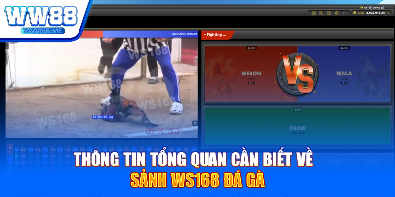 Thông tin tổng quan cần biết về sảnh Ws168 đá gà