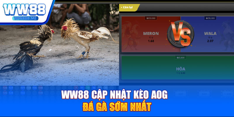 WW88 cập nhật kèo AOG Đá Gà sớm nhất